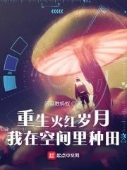 重生火红岁月我在空间里种田全文免费阅读