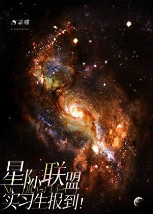 星际联盟介绍