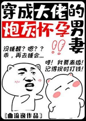 首富的炮灰怀孕男妻(娱乐圈)作者曲流逸