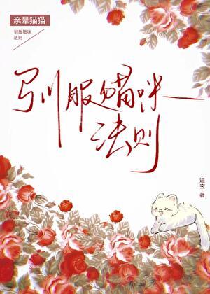 驯服猫咪法则TXT全文免费