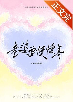 老婆要慢慢养by凛春风TXT番外