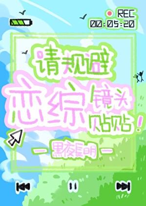 请规避恋爱镜头贴贴一