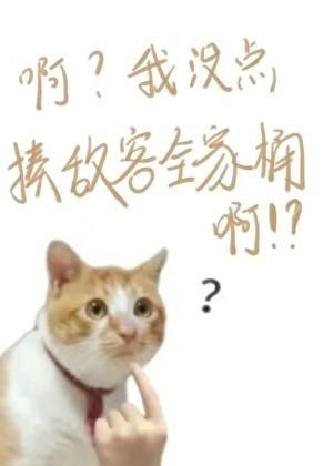 啊?我没点揍敌客全家桶啊?TXT