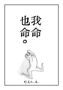 我命也命简介