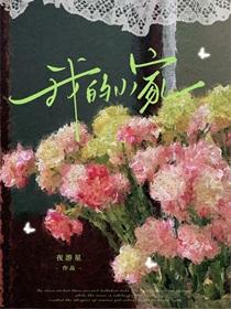 我的小家无限金币