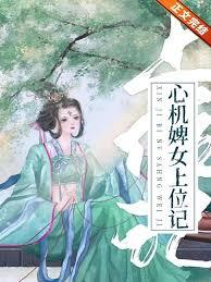 婢女上位记TXT百度