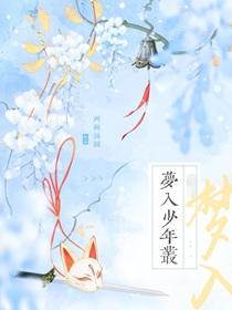 梦入少年丛歌词