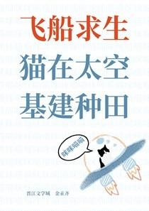 太空飞船上的猫