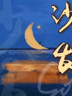 沙发套罩