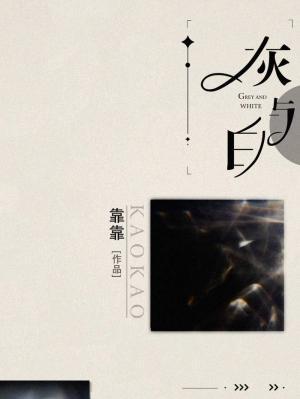 灰与白txt 靠靠