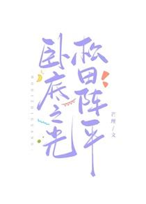 卧底ii