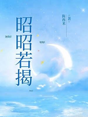 昭昭若揭陈西米TXT