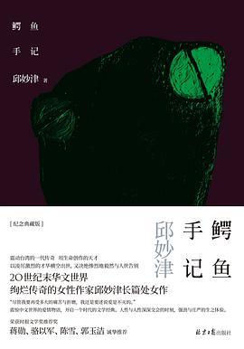 鳄鱼手记解析