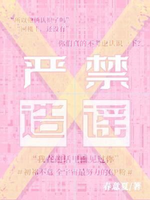 严禁造谣txt