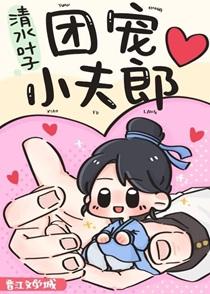 团宠小夫郎txt