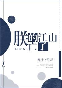 朕的江山亡了在线阅读