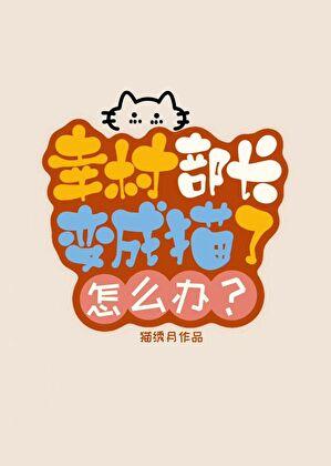 幸村部长变成猫了怎么办?免费阅读