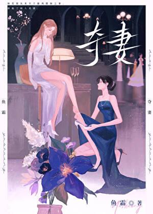 夺妻gl李衿沈静姝完整版