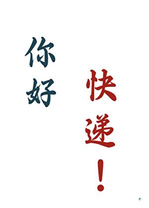 穿越修真界但绑定快递TXT