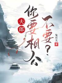 夫郎要相公不TXT百度