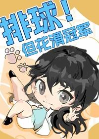 排球但花滑冠军TXT资源