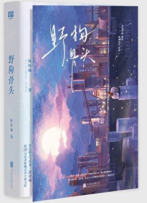 野狗骨头免费的观看