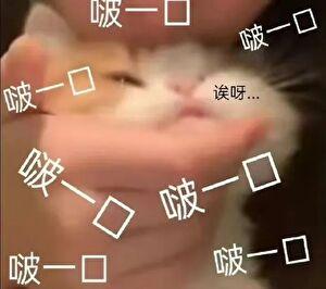 图南股份1月19日打开涨停