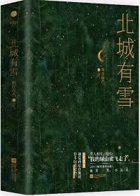 北城有雪明开夜