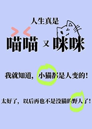 小猫咪变成人类幼崽后免费阅读