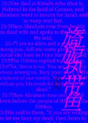 旖旎热带鱼讲的什么