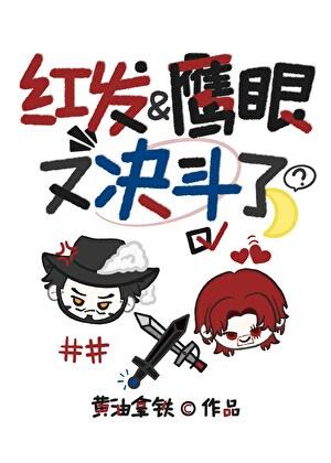 红发和鹰眼又决斗了txt