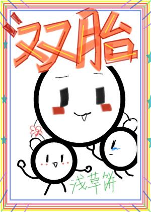 一篇生子双胞胎文免费阅读全文无弹窗
