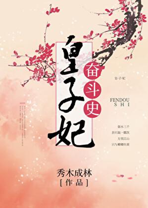 皇妃奋斗史讲的什么