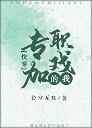 专职加戏的我快穿笔趣