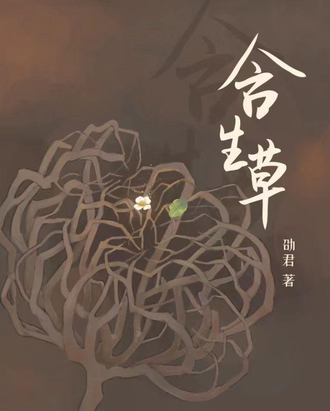 与魔鬼契约的女人日剧在线