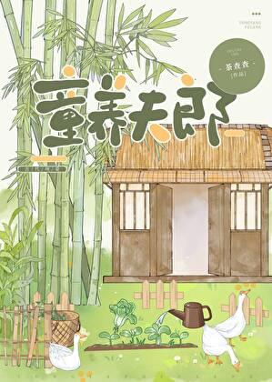 裴家夫郎免费阅读