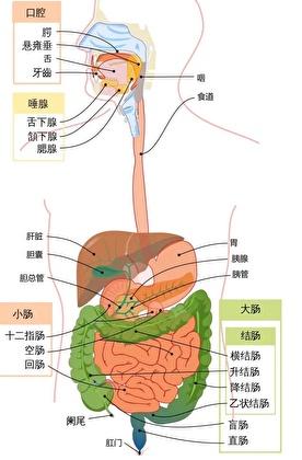 怎么证明自己不是精神病