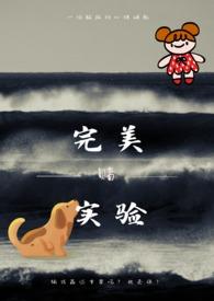 完美实践