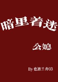暗里着迷是什么电视剧