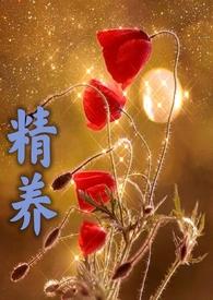 养父×醋精