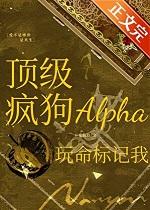 顶级玩家成疯狗免费阅读