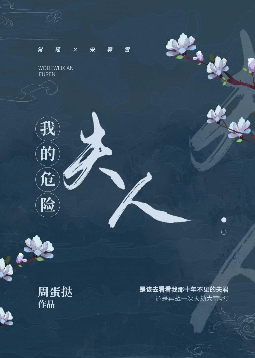 我的危险夫人讲的是什么
