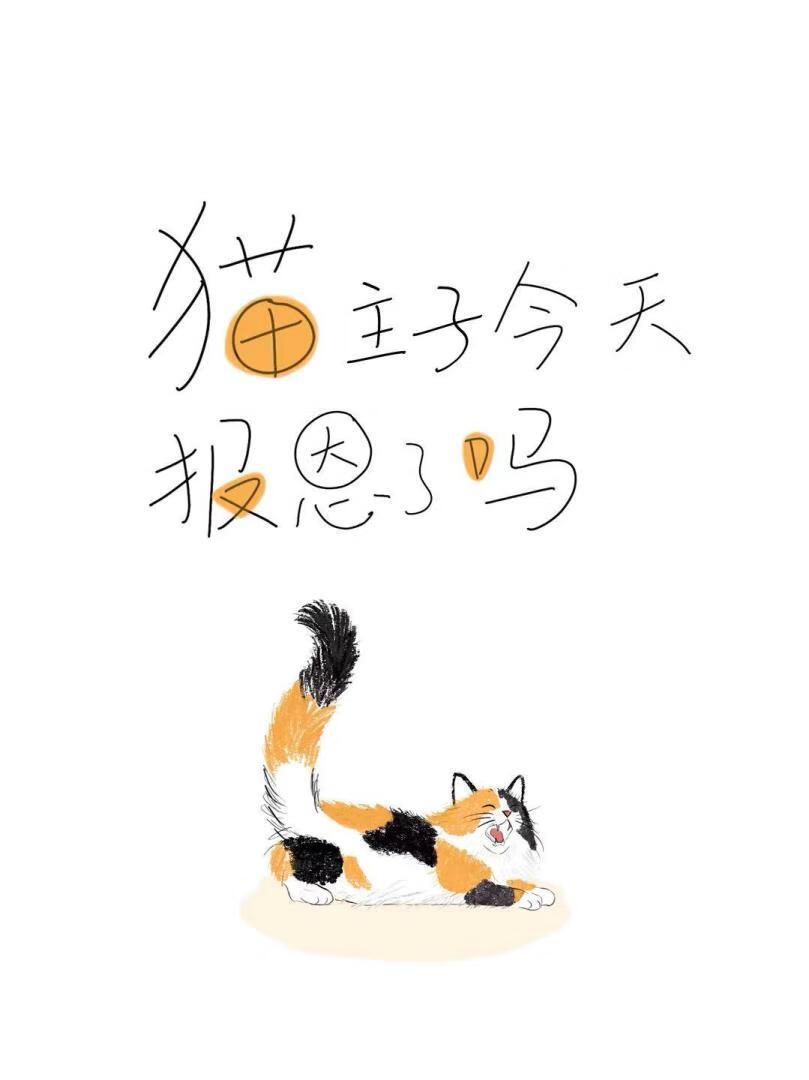 猫咪来报恩