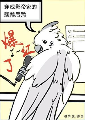 穿成影帝家的鹦鹉是什么品种