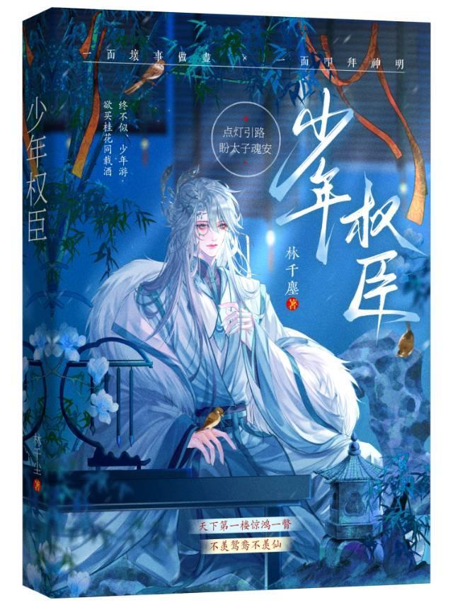 我瞒着所有人和少年权臣