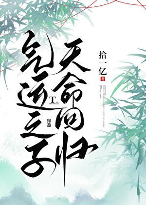 气运之子天命回归txt