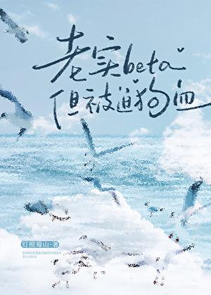 老实人BETA上当受骗记全文
