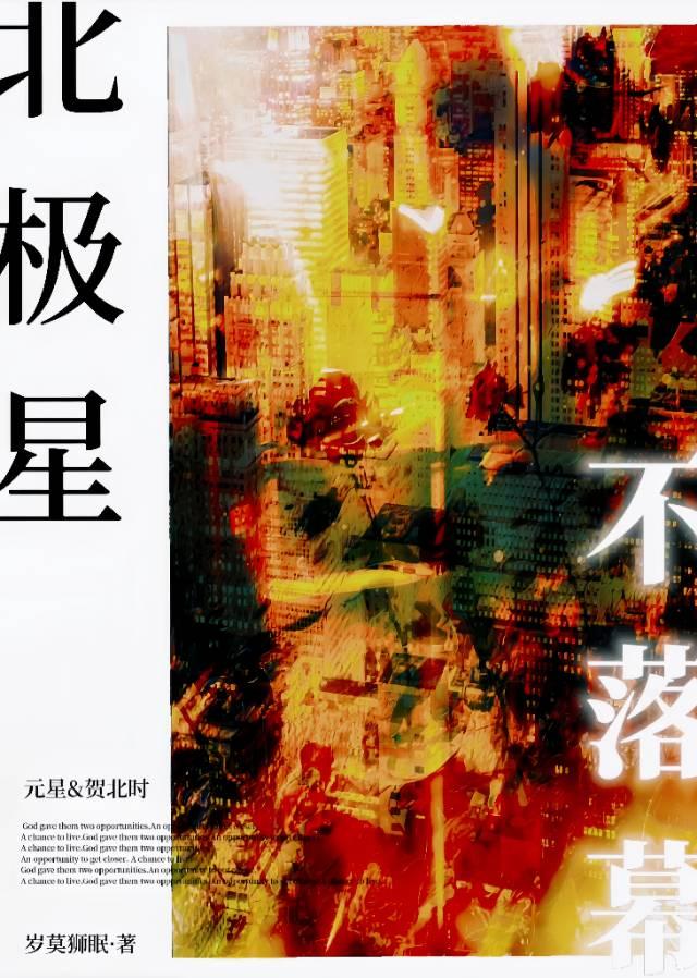 北极星下落不明简介