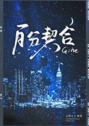 百分百契合家主和保镖