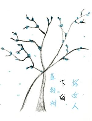 蓝桉树的爱情含义
